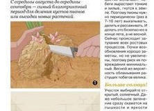 У садоводов и огородников опять изменения в законодательстве. Что на этот раз?